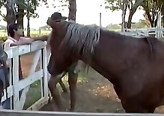 Two Muscular Hunks Share Raw Bareback Anal Pleasure