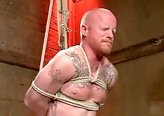 Domination & submission, hd videos, abjection