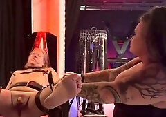 Domina Dark - Dollys Blackout