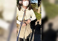 I was walked throughout the park in the daytime with a collar on, my tucked crotch fully stripped. Unable to resist, I was led to a quieter area and t