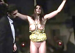 Bound beauty, Zafira tormented orgasms.